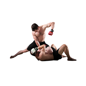 Mixed martial arts PNG, MMA PNG-70407